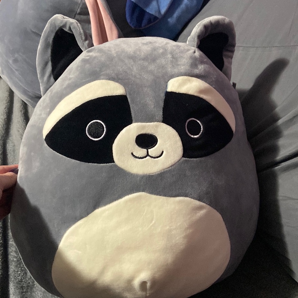 Raccoon Squishmallow